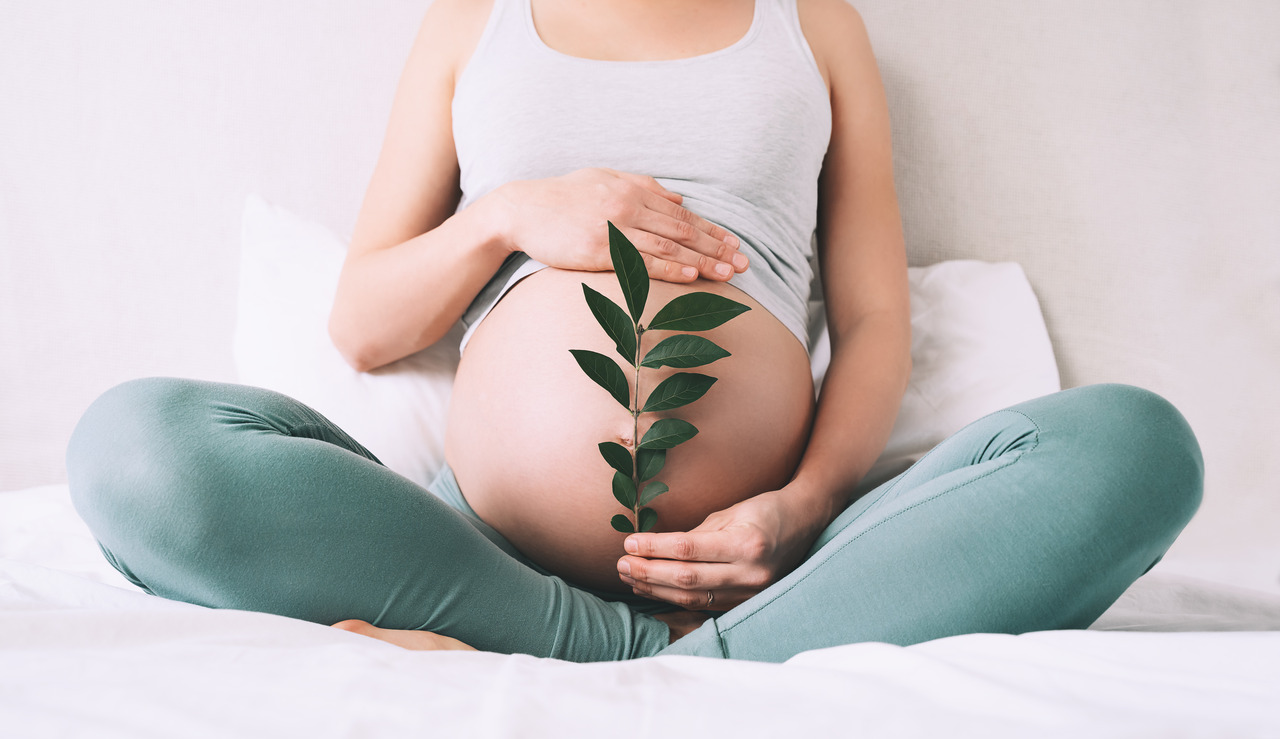 Puis-je tomber enceinte avec le SOPK ?  Décoder les faits - Blog