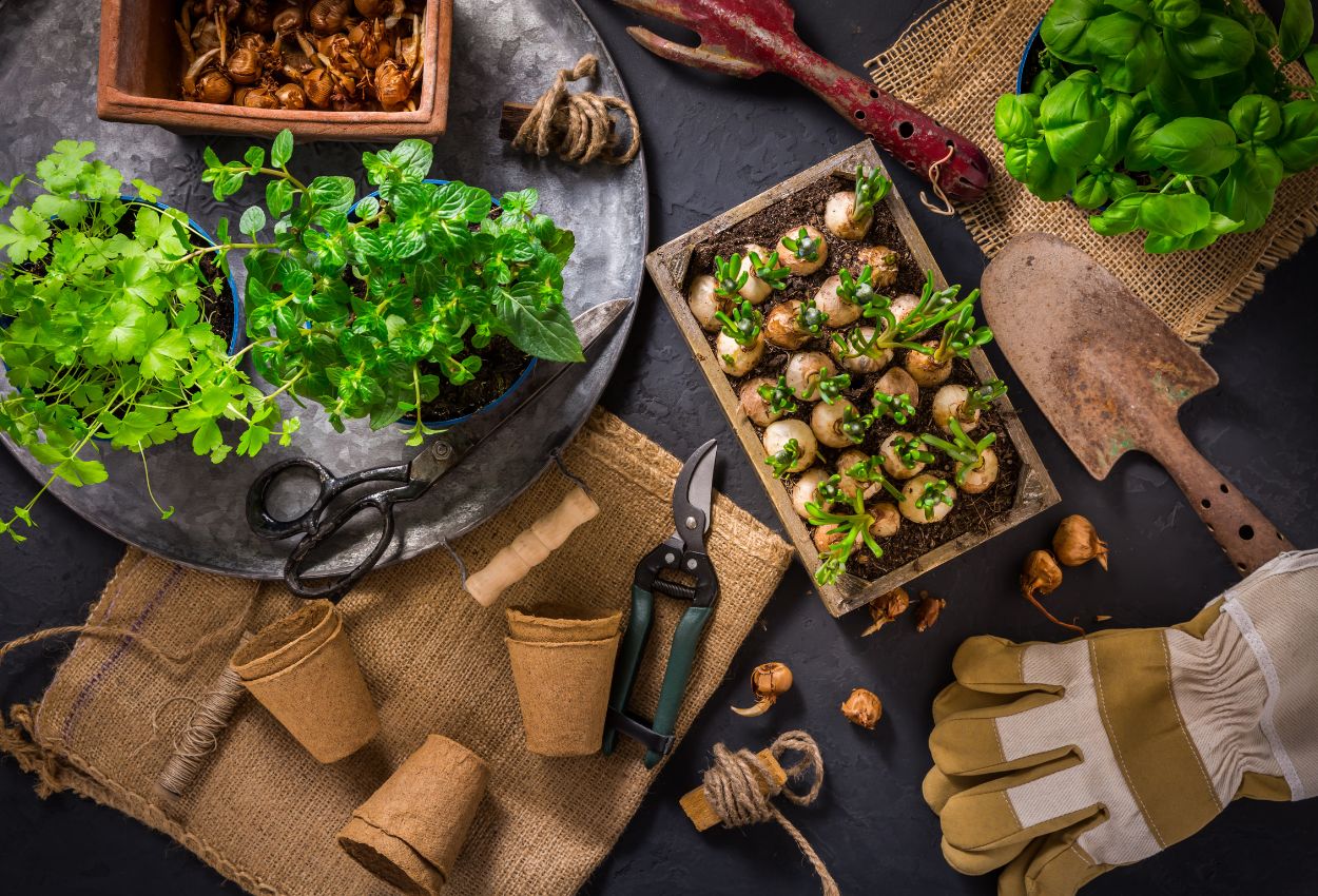 Cultivez votre santé et votre bonheur jardinant cet été