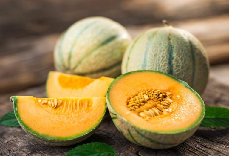 Le melon : ce fruit d’été peut vous aider à perdre du poids naturellement dès maintenant